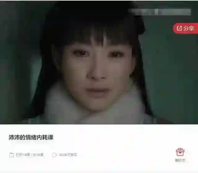 沛沛情绪内耗课实战指南:揭秘高效自救法(限时专属)-初心情感社